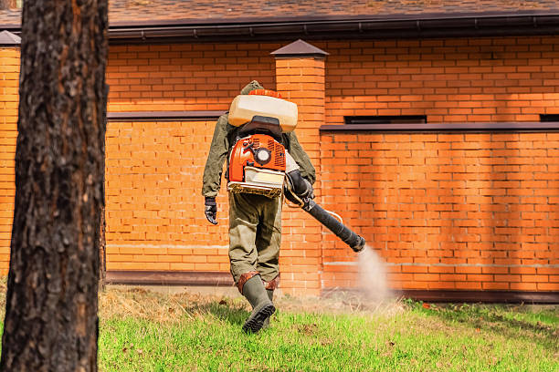 Trusted Rodent Control service in Highland, NY - Nex Pest Control